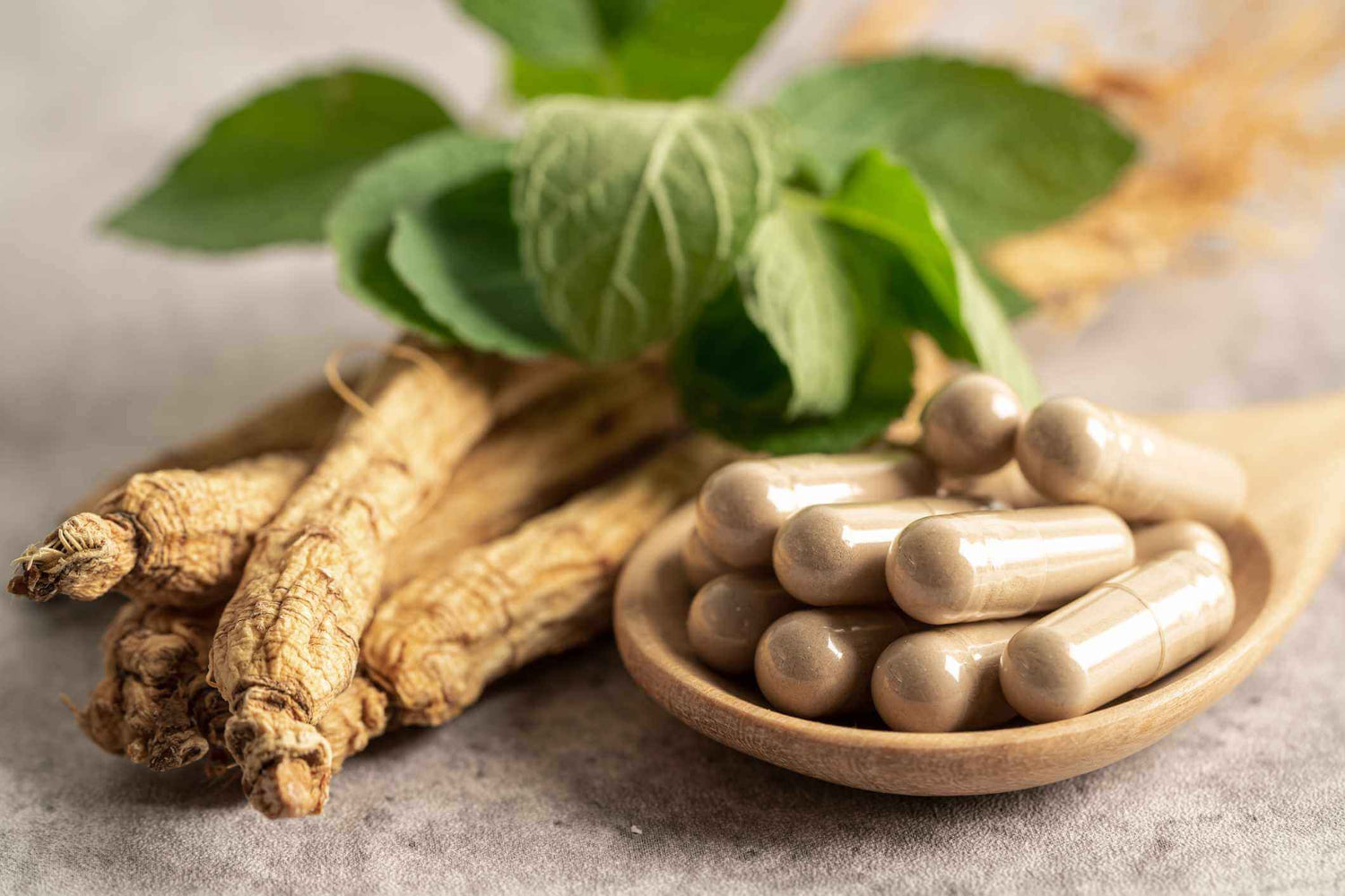 ingredients-ginseng