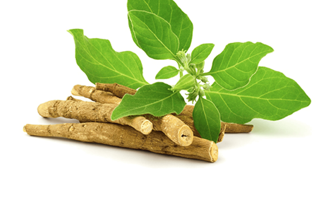 ingredient-ashwagndha