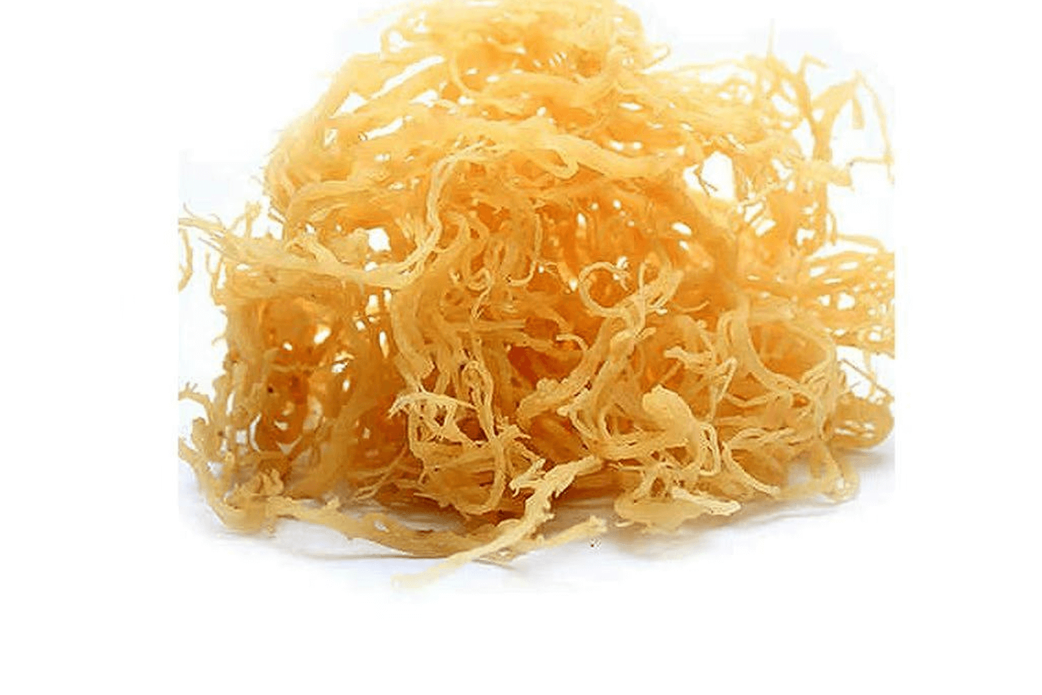 ingredient-sea-moss