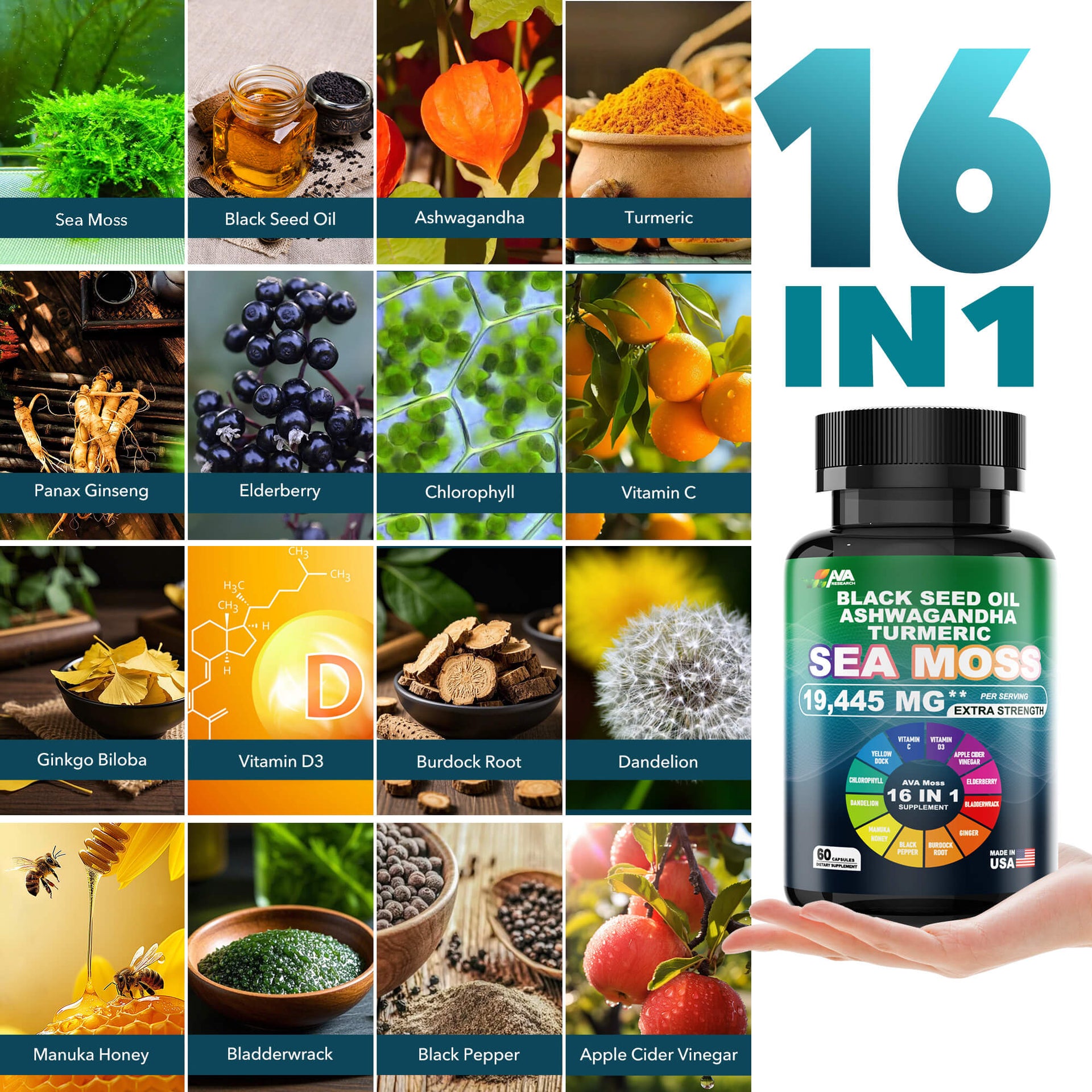 Sea Moss 16 - in - 1 Total Wellness | AVA Research - AVA Research