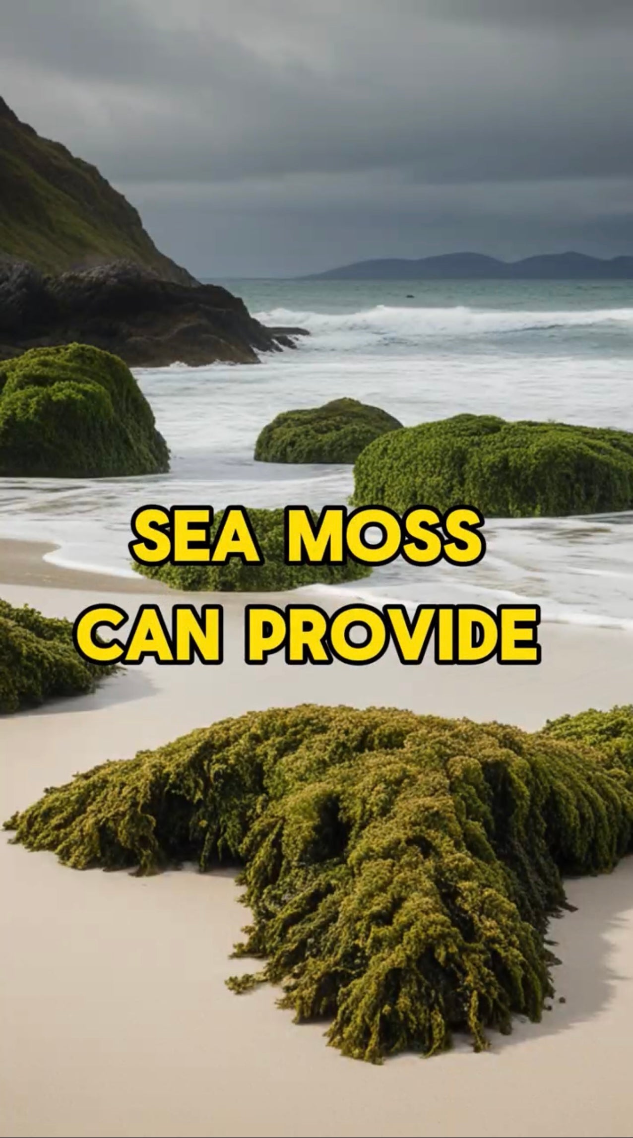 real-sea-moss