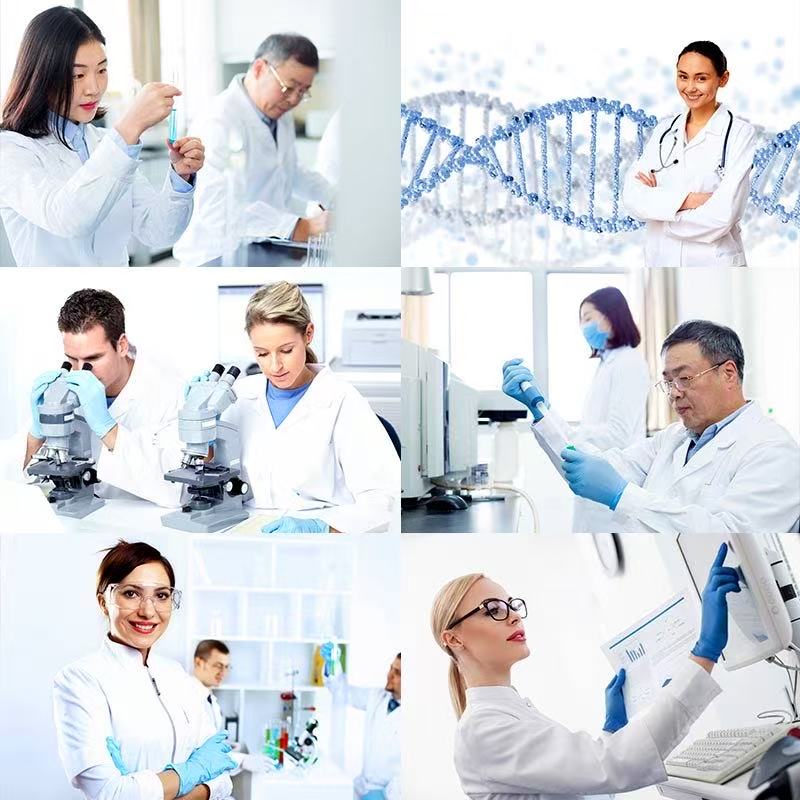sea-moss-shijiat-lab-test